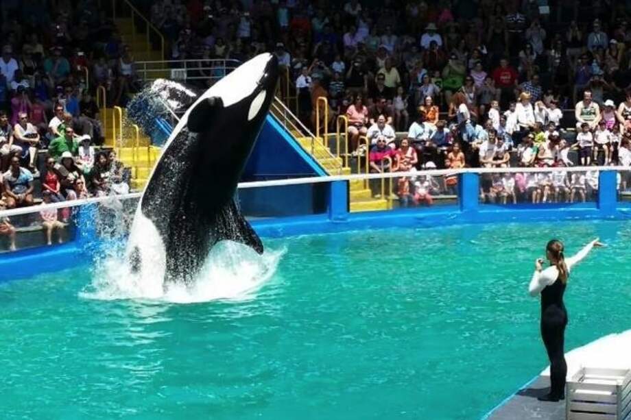 Tomada de facebook.com/MiamiSeaquarium