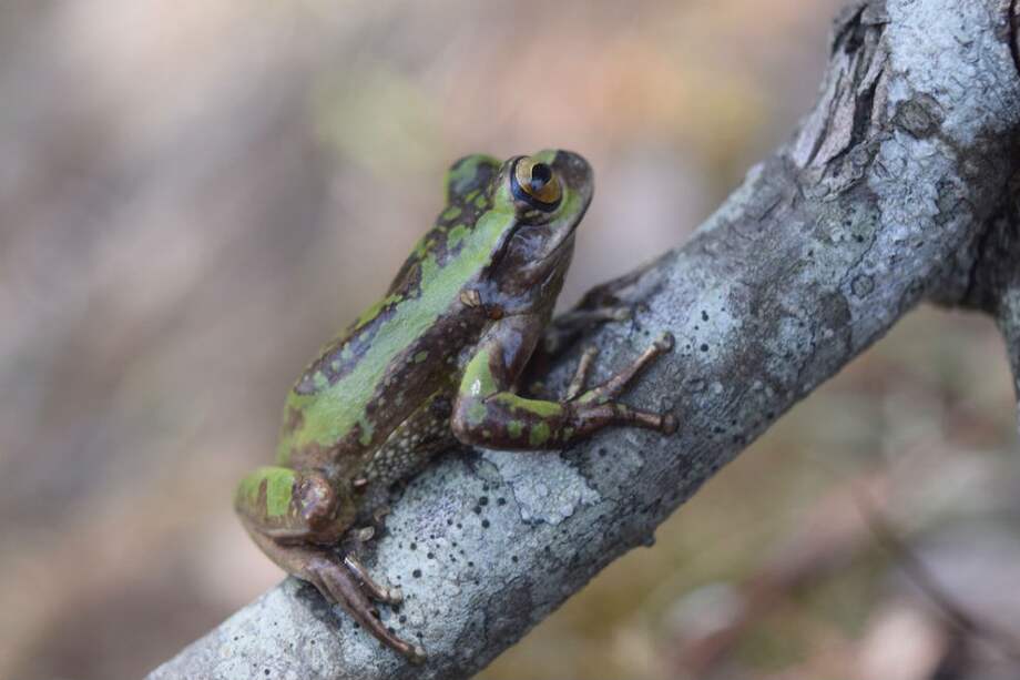 Sandra Victoria Flechas