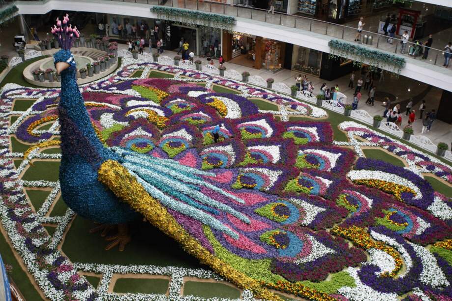 El tapiz tiene más de 26.000 flores y fue levantado en 16 horas por unas 100 personas. / EFE.
