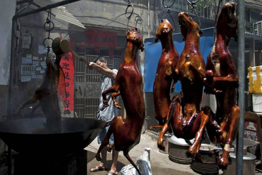 Algunos activistas han optado por pagar pequeñas fortunas para comprar y salvar la vida a cientos de perros. / EFE