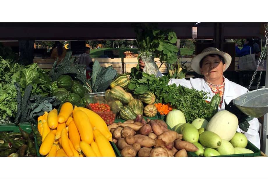 Foto: Gobernación de Cundinamarca