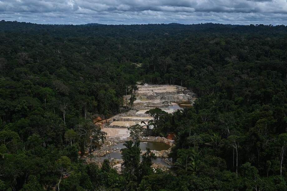 “La idea no es lograr que desaparezca del todo la minería ilegal, sino que se vuelva mal negocio”: Andrés Hoyos
