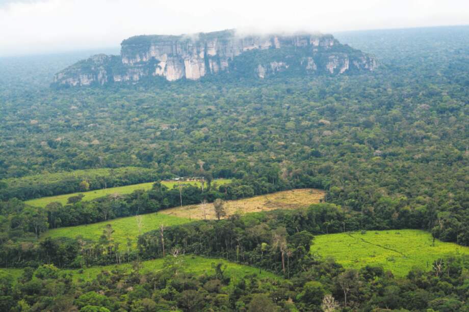 La palabra naturaleza proviene del latín “natura” que significa nacimiento. / Cortesía - FCDS