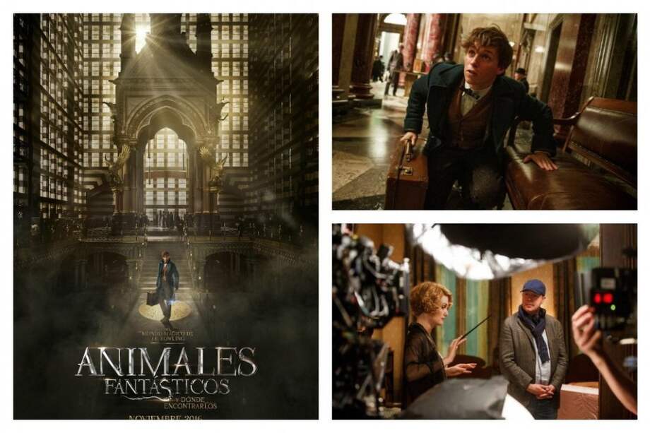 "Animales fantásticos y dónde encontrarlos" se estrena en noviembre de 2016.