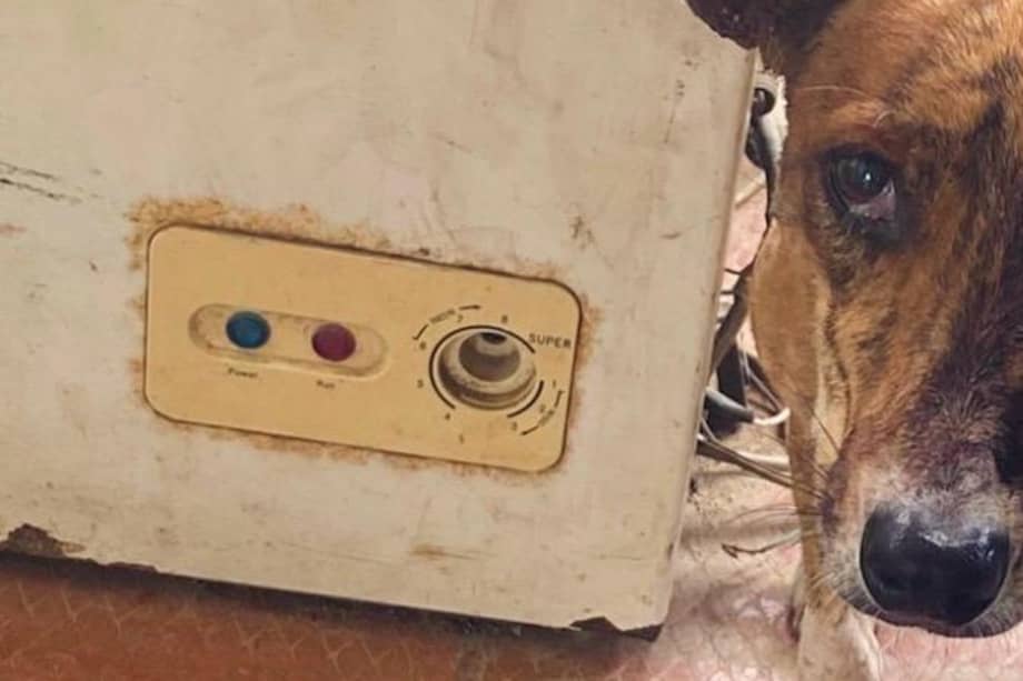 El tratamiento de Mila incluye hospitalización, medicamentos, procedimientos médicos y seguimiento constante.