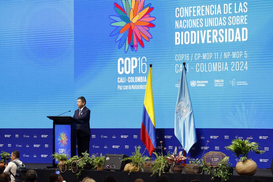 “Lo que sucederá en Cali es una de las movilizaciones sociales más impresionantes que hemos visto por la biodiversidad”: Sandra Vilardy