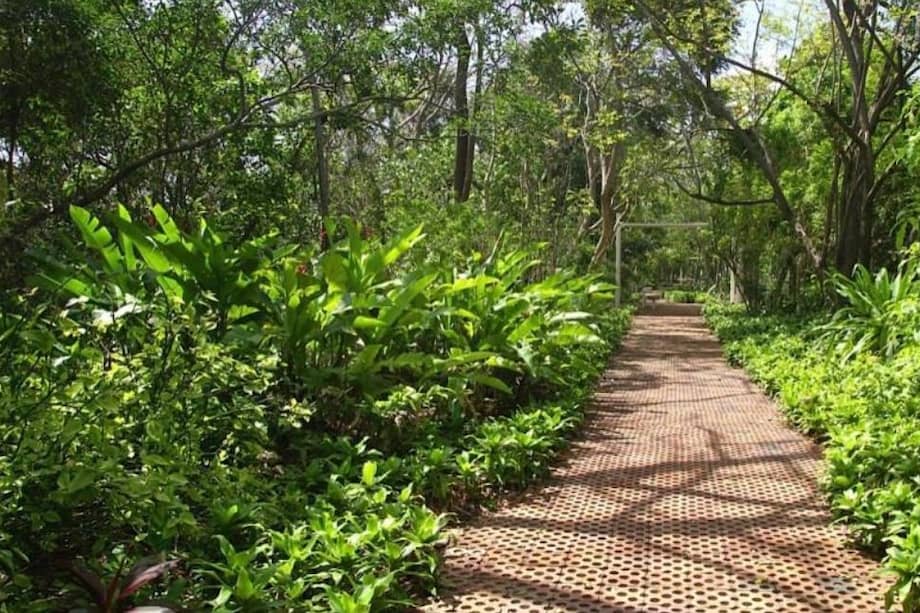 Este jardín alberga una variedad de especies de plantas tropicales, incluyendo especies endémicas de la región. Entre ellas se destacan varias especies de orquídeas y palmas. El jardín también desempeña un papel importante en la conservación y educación ambiental, promoviendo la importancia de preservar la flora local y los ecosistemas de la isla.