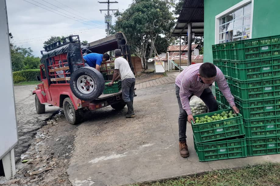 Estrategia "Misión Rescate" en Cundinamarca.