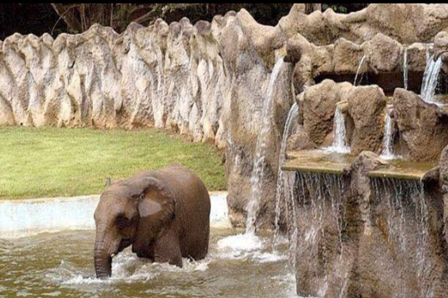 Imágenes difundidas por la periodista puertorriqueña Valeria Collazo mostraron las condiciones insalubres en las que viven varios animales del zoológico.