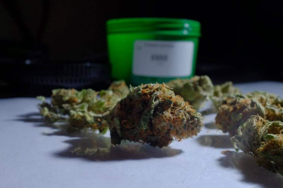 Estudian impuestos para la marihuana en Jamaica. / Bloomberg News