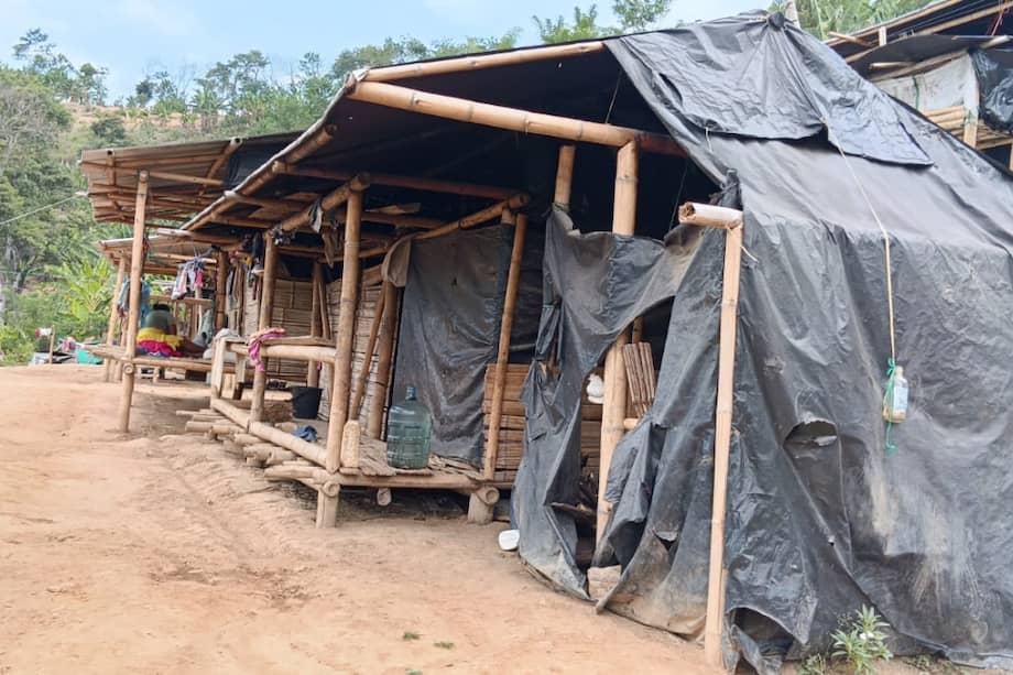 El gobernador de la comunidad indígena Karedúa, Julio César Niaza, señaló que se han unido para levantar las casas, pero no han recibido ayuda estatal tras la emergencia.