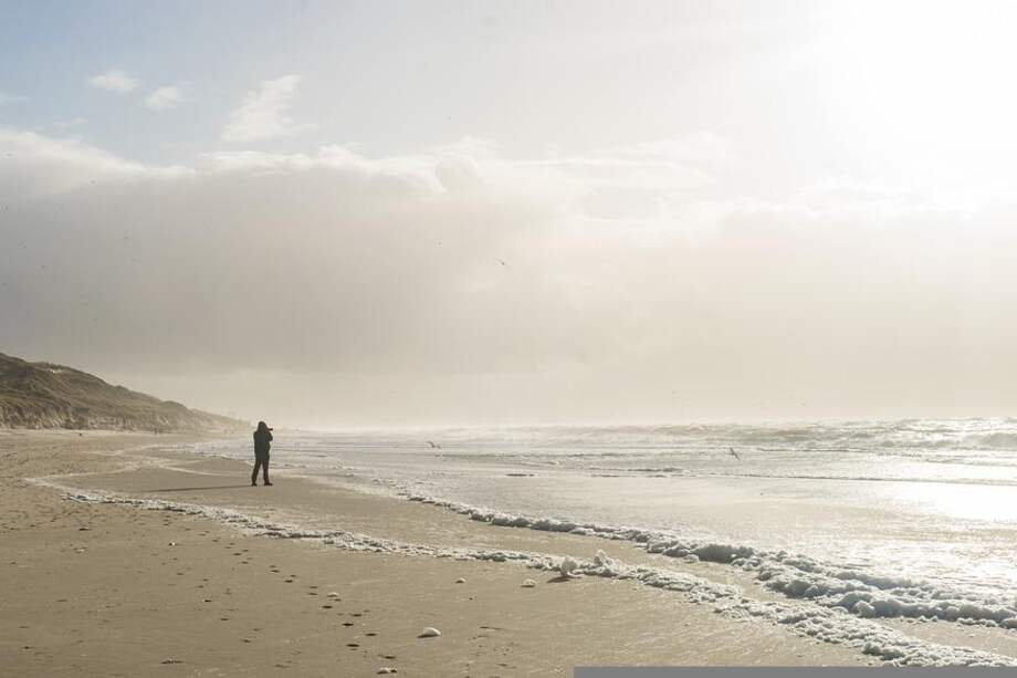 Imagen de referencia.