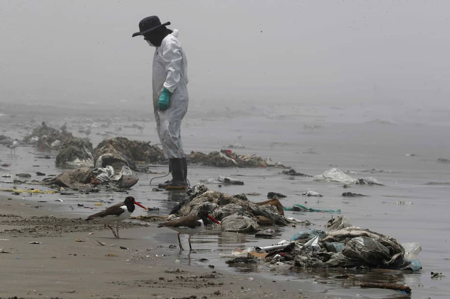 Personal de limpieza limpia y recoge basura, hoy en la playa Cavero en el distrito de Ventanilla en Lima (Perú). Un mes después del desastre ambiental que sufrieron las costas de Lima tras el derrame de crudo desde la refinería La Pampilla, aún se investigan las causas del accidente, mientras que la española Repsol continúa con trabajos de limpieza que el gobierno peruano aún considera insuficientes.