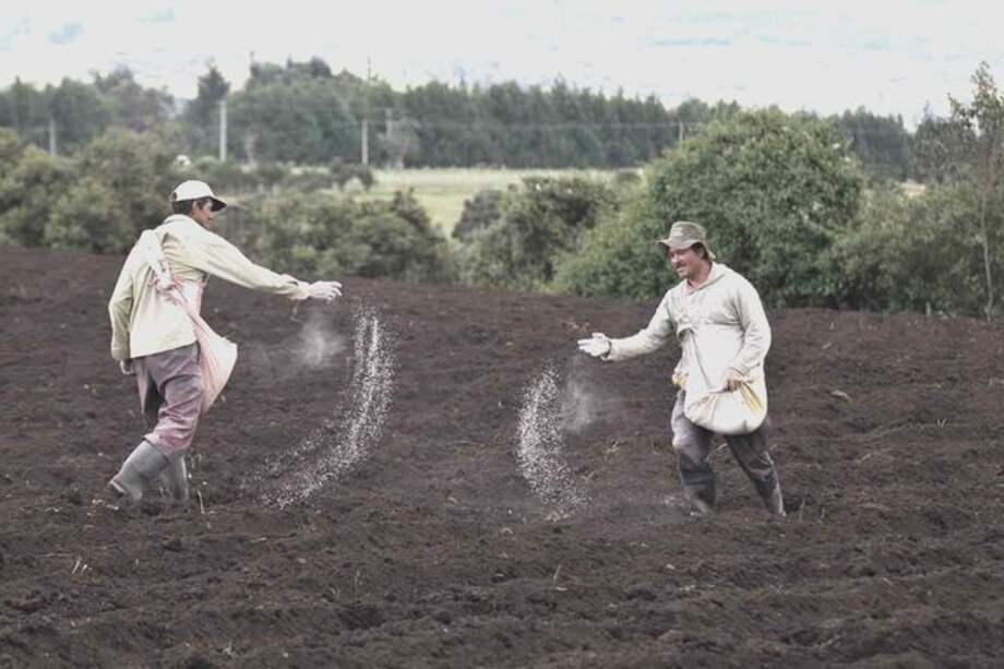 Dan primer debate a proyecto que busca dar alivio financiero a pequeños y medianos productores del campo