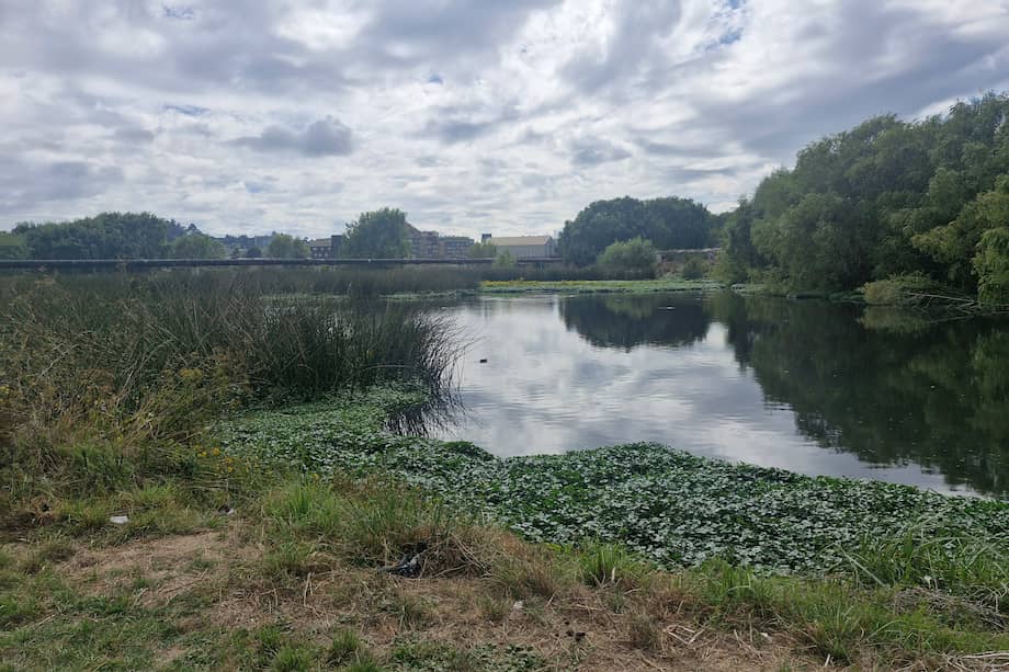 Imagen del sistema Rocuánt-Andalién, uno de los más importantes del Cono Sur.