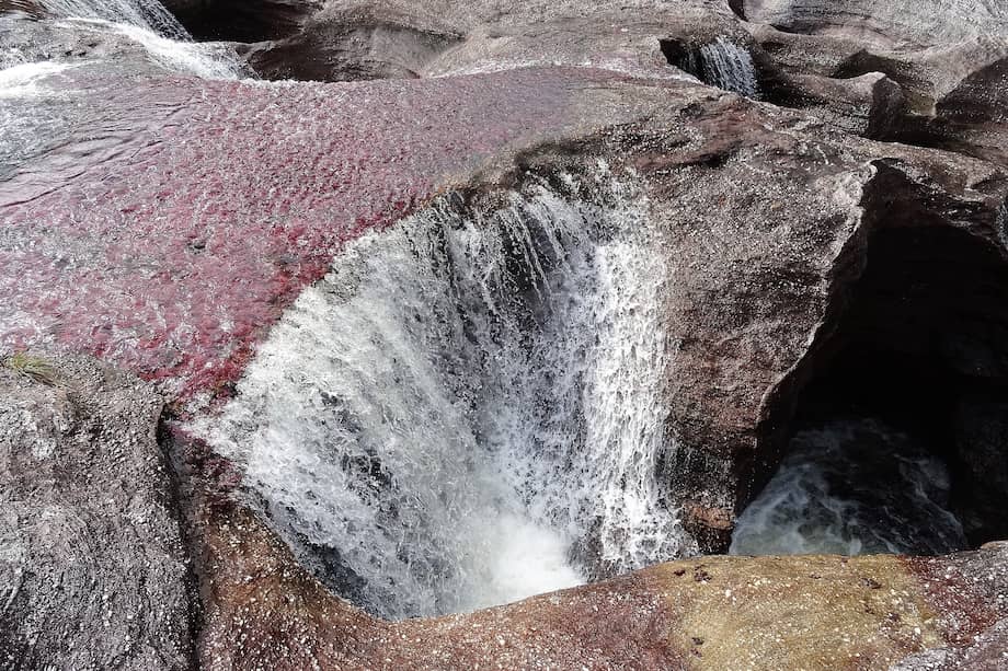 Fotos: Fidel Cano Correa.