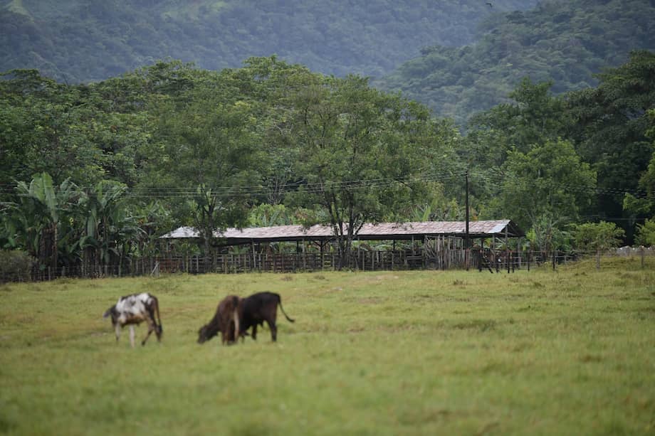 Meta lidera el escalafón de departamentos que más GEI emiten a la atmósfera.