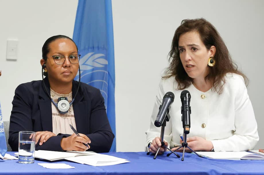 a presidenta del Grupo de trabajo sobre la utilización de mercenarios, Michelle Small (i), y la integrante del grupo Joana de Deus Pereira.