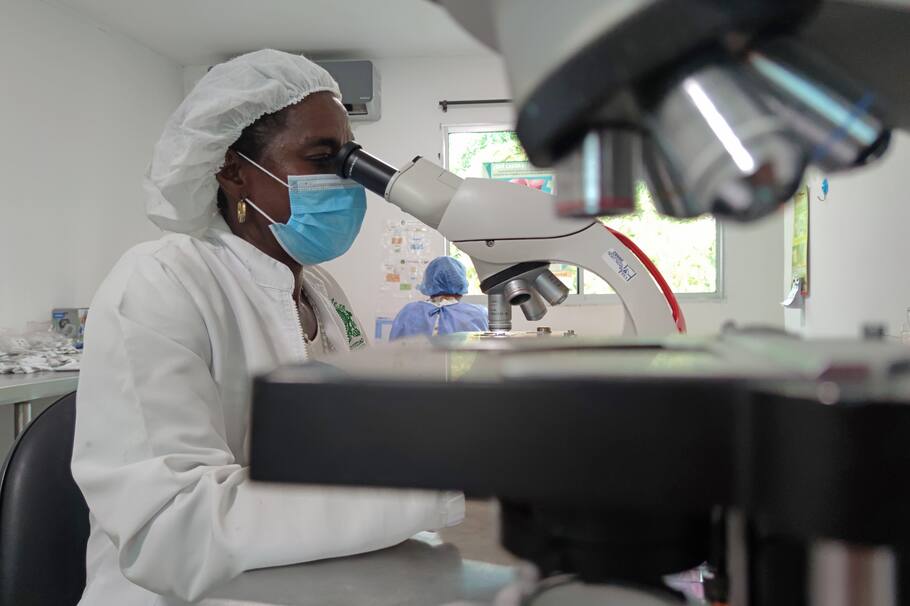 Investigadores, usaron redes artificiales para descubrir las posibles causas de los síndromes miasténicos congénitos. Esto hallaron. EFE/Juan Diego López