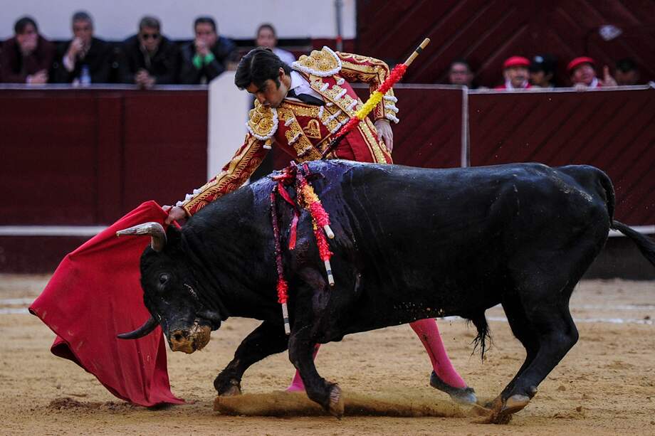 Mauricio Alvarado - El Espectador