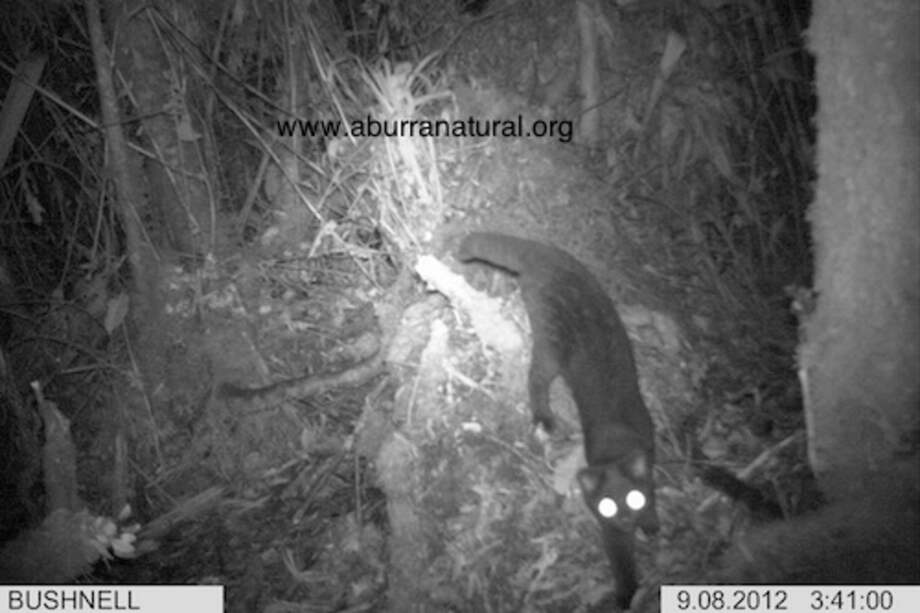 Foto Aburrá Natural