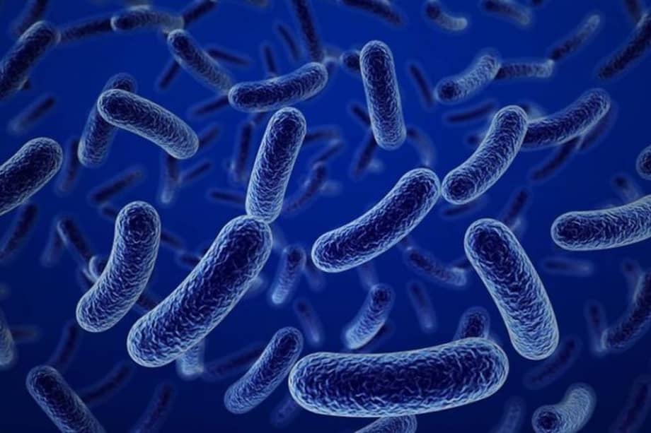 Tres años más tarde, los investigadores encontraron que los cúmulos de más de 0,5 milímetros de espesor habían sobrevivido parcialmente a las condiciones del espacio.