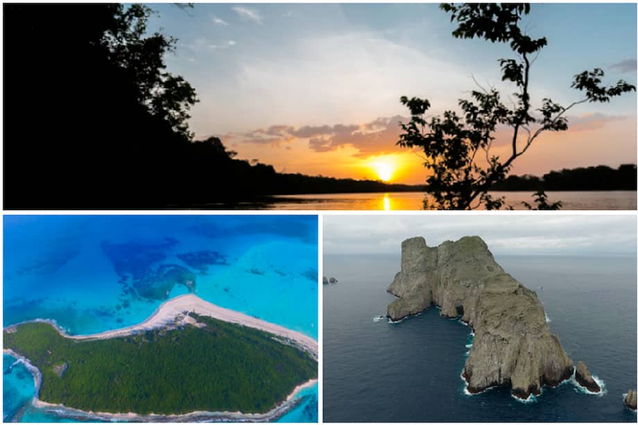 Cortesía Colciencias