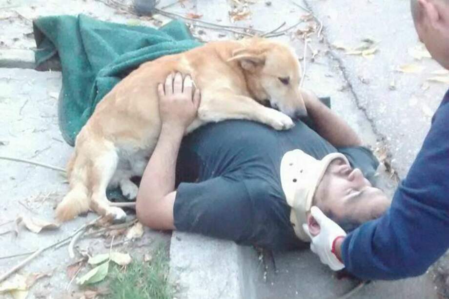 Facebook Defensa Civil de Bahía Blanca.