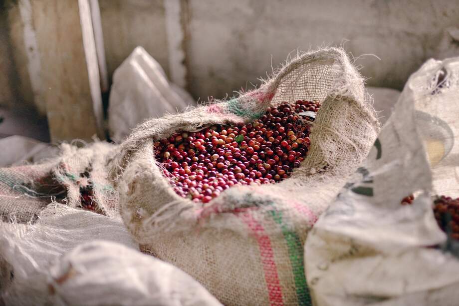 Café y cacao, de Colombia para el mundo: productores de la Sierra Nevada exponen sus productos en Alemania y España.