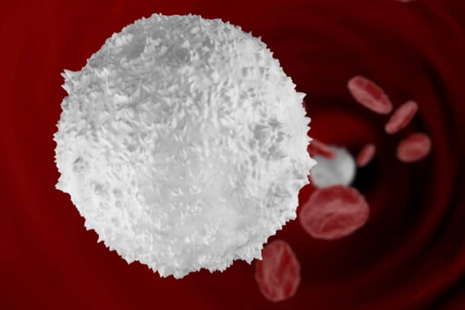 europeandailynews.org