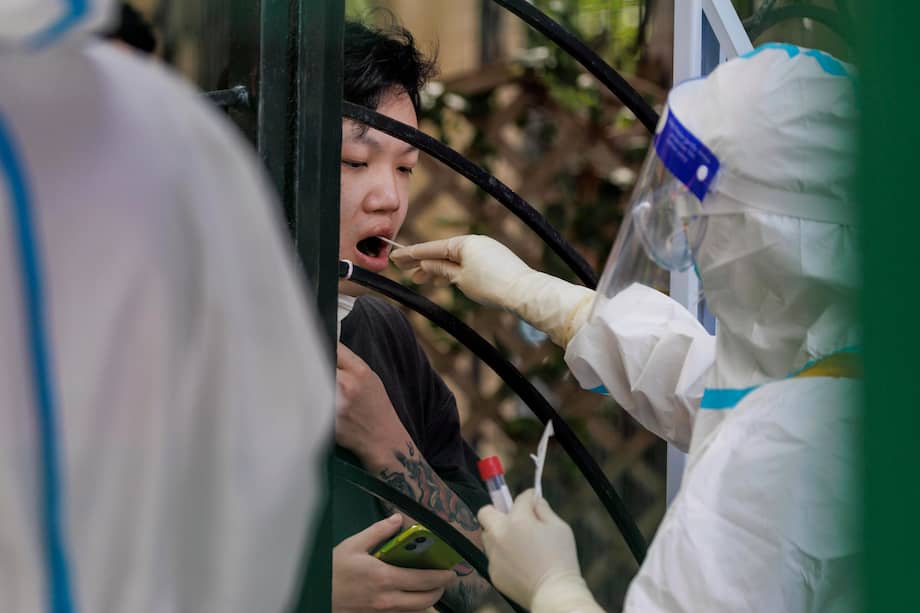 Shanghai (China), 11/06/2022.- Los CDC de Estados Unidos recomiendan que si usted está enfermo de covid-19, evite el contacto con sus mascotas y otros animales, tal como lo haría con las personas. EFE/EPA/ALEX PLAVEVSKI