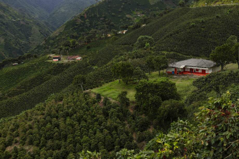 Este año, el Gobierno invertirá $60.000 millones en el agro. / AFP