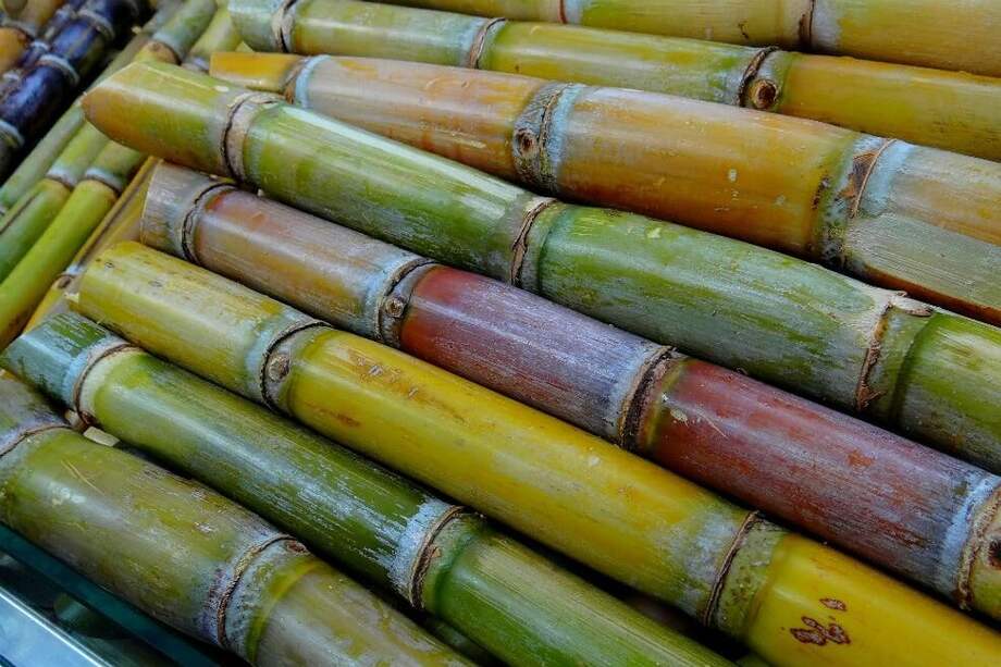 El genmo de la caña de azúcar está compuesto por 10 mil millones de pares de bases mientras el del ser humano apenas 3.200 millones. / Pixabay