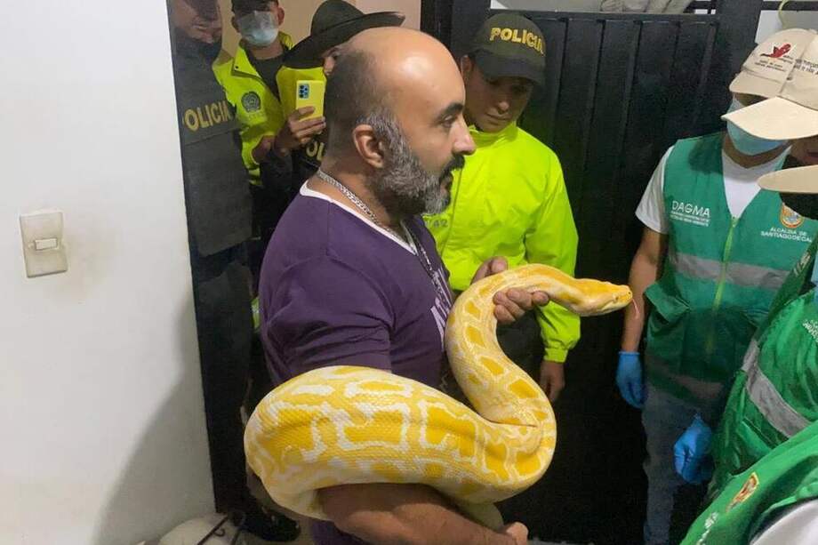 Los dos hombres capturados fueron puestos a disposición de un juez.