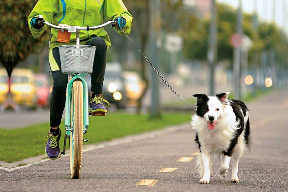 En total serán 124 kilómetros que unirán a la ciudad / Tomada de www.4patas.com.co