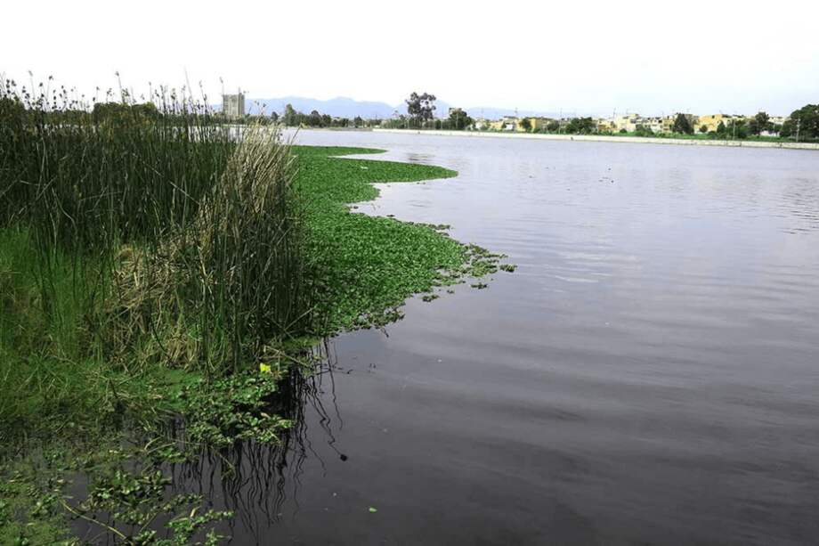 La controversia por estas obras inició en la primera alcaldía de Peñalosa, con la construcción de una alameda y una ciclorruta en el humedal Juan Amarillo. / Secretaría de Ambiente.