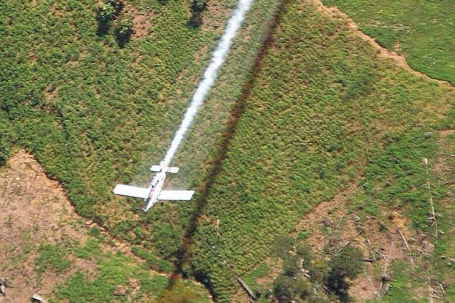 La aspersión aérea es hoy tema de debate a nivel constitucional. / AFP