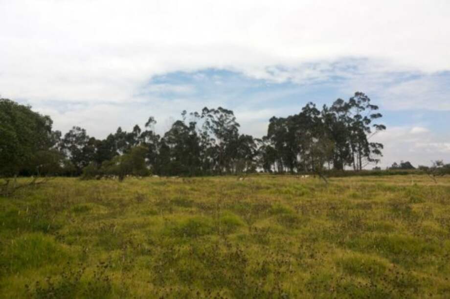Recusación contra secretario de Planeación por conflicto de intereses en reserva Van der Hammen