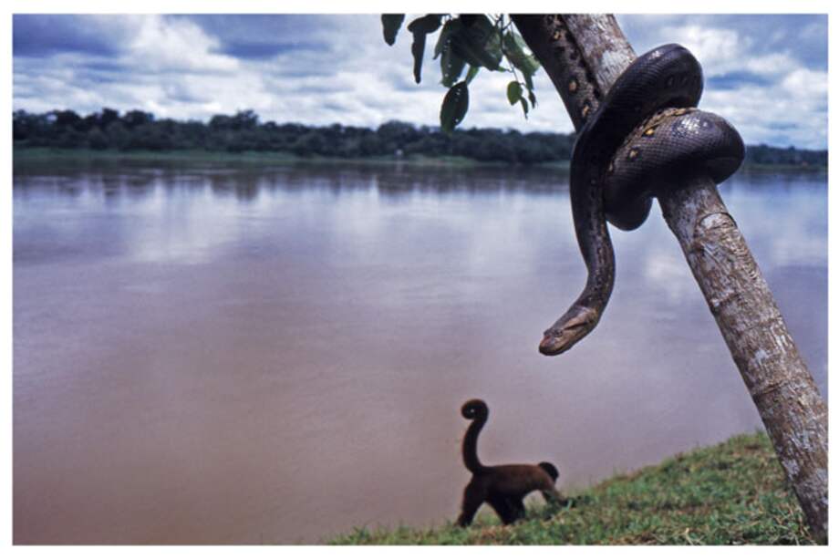 Río Amazonas, un mar de agua dulce
