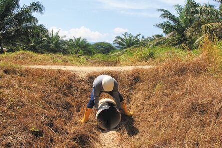 El Espectador le explica lo que se nos viene con el fenómeno de El Niño