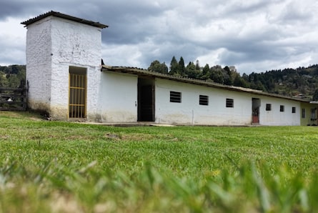 Bien de supuesto socio de Gacha y de los Castaño será un refugio para animales abandonados