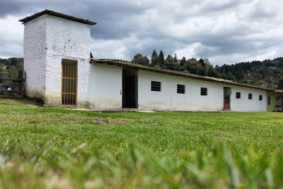 Uno de los bienes recuperados será destinado a funcionar como refugio para 146 animales domésticos abandonados.