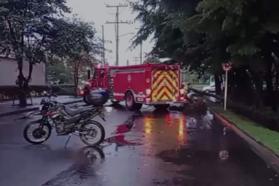 Poe las fuertes lluvias del martes 5 de noviembre, autoridades confirmaron la caída de un árbol en la localidad de Engativá, en la carrera 69H con calle 86.