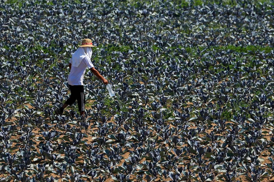 Los trabajadores del sector de la agricultura son algunos de los más expuestos.