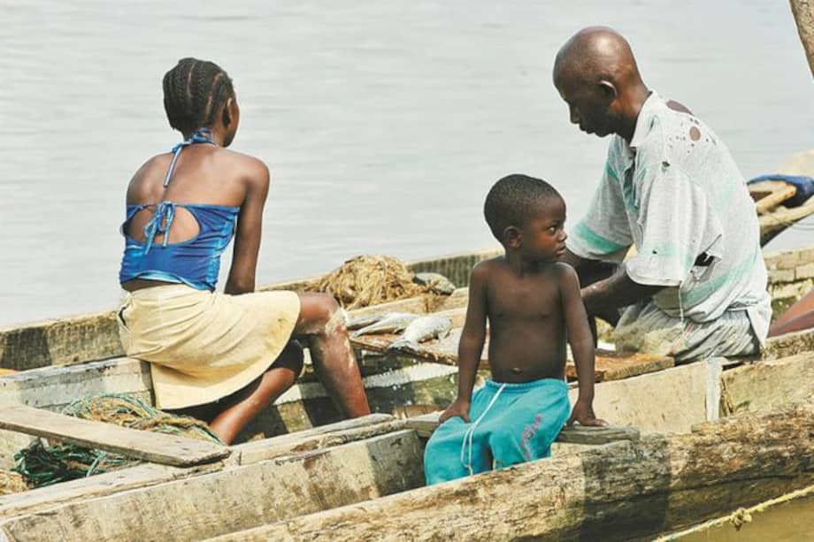 Alrededor de cinco organizaciones afrodescendientes expondrán ante el órgano internacional su inconformismo sobre la invisibilidad a la que ha sido sometida el 30% de la población afro en el país por cuenta de un censo, supuestamente, mal hecho en 2018.