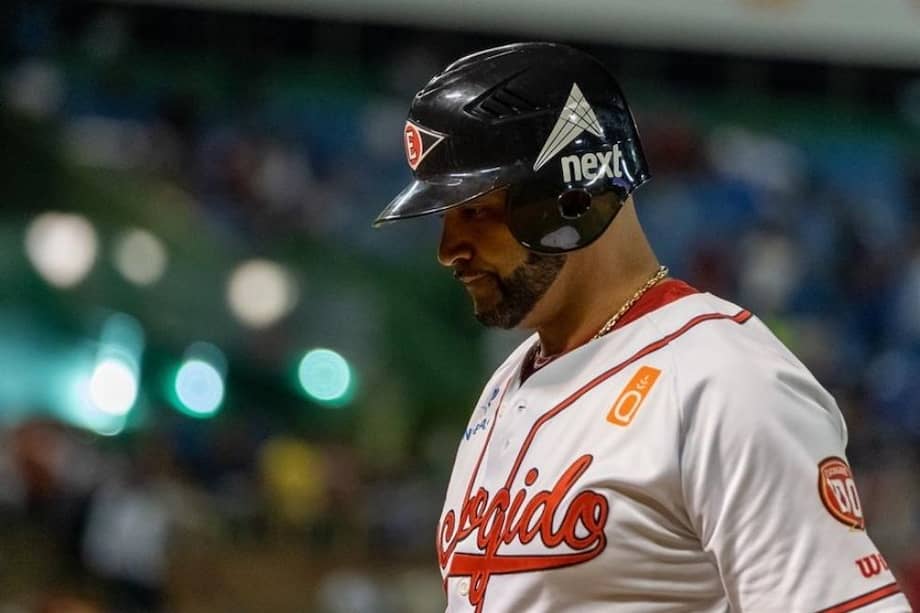Antes de llegar a las Grandes Ligas, Albert Pujols vistió la camiseta del equipo Leones del Escogido, de la Liga Dominicana.