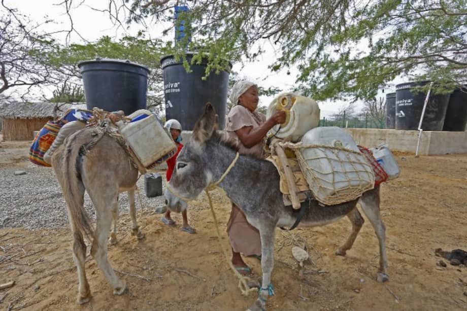 Minagricultura / Minagricultura