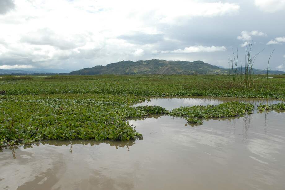 Imagen de referencia/Archivo El Espectador