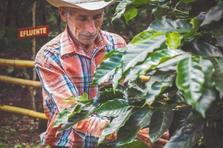 En Colombia más de 11 millones de personas trabajan en el campo. /AFP