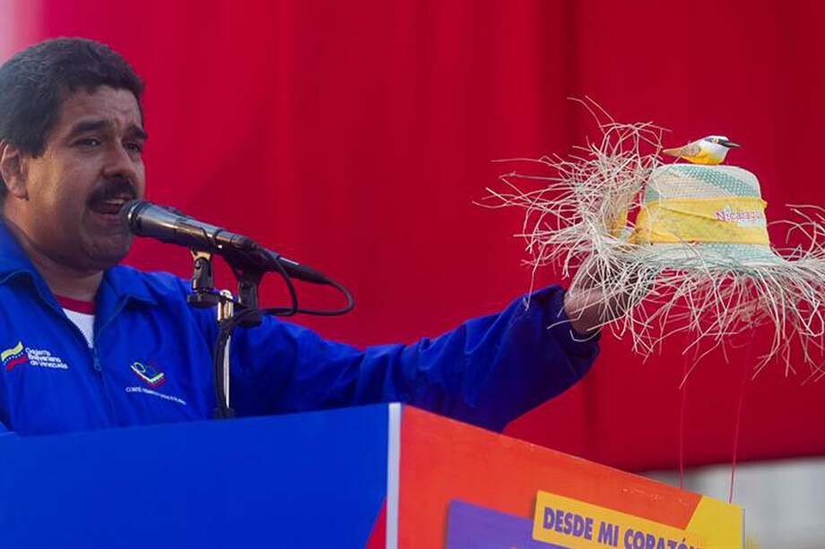 Chavistas ponen de moda el plátano y los pajaritos convencidos de la victoria